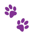 Paws Image