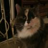 ethel