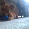 imag0628